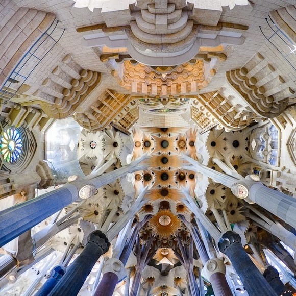 Meet your Posher, Lillian - Picture 1 of 1